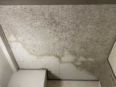 クロスにカビが生えている