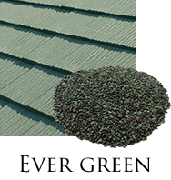 エコグラーニ カラー「エバーグリーン」